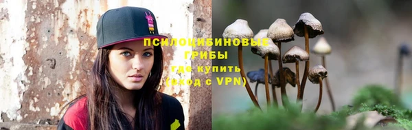 дурь Алзамай