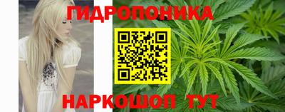 MESCALINE Камышлов