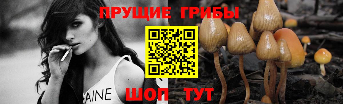 Псилоцибиновые грибы мицелий  Вход с VPN  Куйбышев 